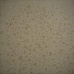 TGM  SAND